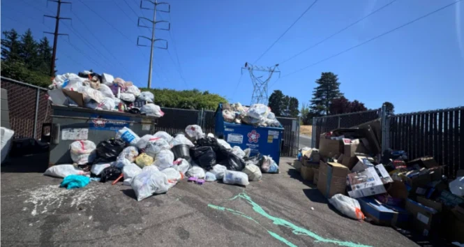 news-665-354 news-665-354